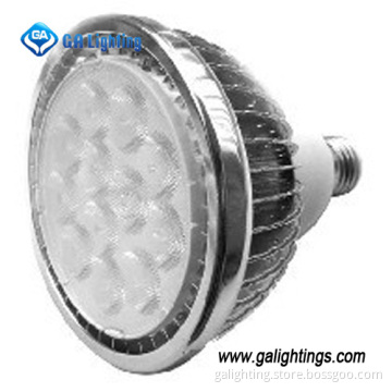 12x2w LED PAR 38 Spot Light Bulb (GASL-122P38B)